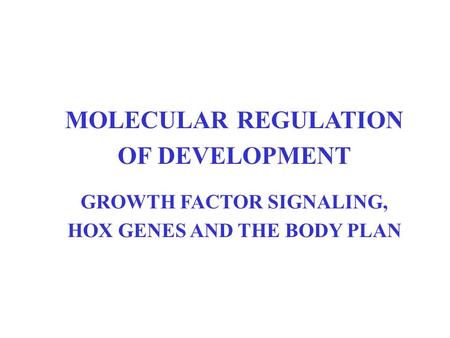 GROWTH FACTOR SIGNALING, HOX GENES AND THE BODY PLAN