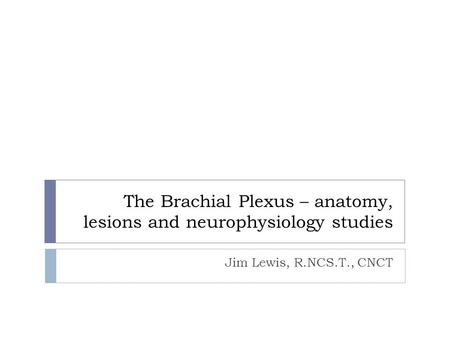 The Brachial Plexus – anatomy, lesions and neurophysiology studies
