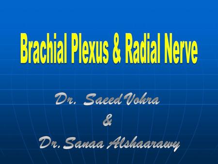 Brachial Plexus & Radial Nerve