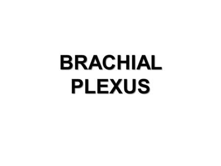 BRACHIAL PLEXUS.