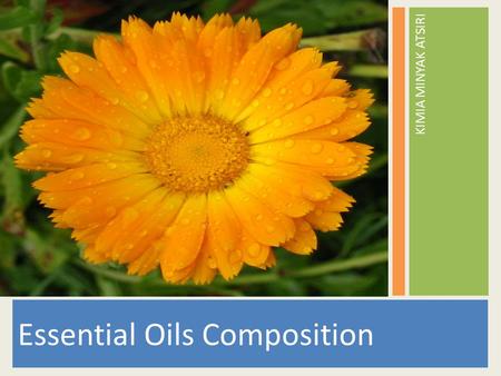 Essential Oils Composition KIMIA MINYAK ATSIRI. ESSENTIAL OIL COMPOSITION Essential Oils are complex mixture of sometimes hundreds of chemicals compounds.