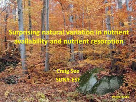 Surprising natural variation in nutrient availability and nutrient resorption Craig See SUNY-ESF Photo: USFS.