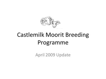 Castlemilk Moorit Breeding Programme April 2009 Update.