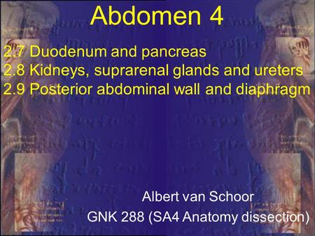 GNK 288 (SA4 Anatomy dissection)