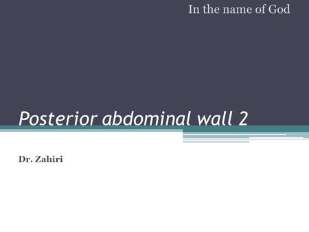 Posterior abdominal wall 2