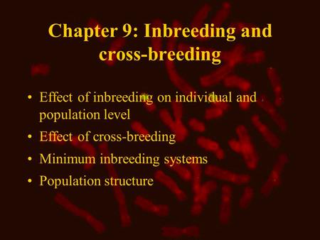 Chapter 9: Inbreeding and cross-breeding Effect of inbreeding on individual and population level Effect of cross-breeding Minimum inbreeding systems Population.