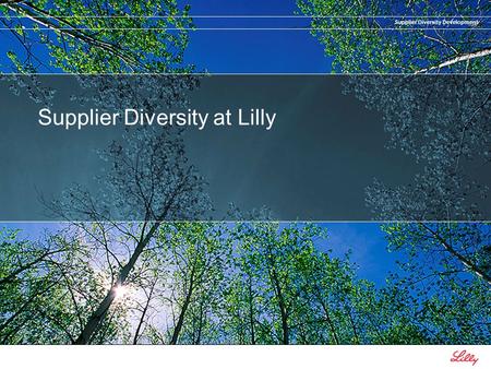 Supplier Diversity Development Supplier Diversity at Lilly.