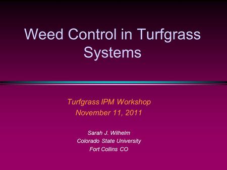Weed Control in Turfgrass Systems Turfgrass IPM Workshop November 11, 2011 Sarah J. Wilhelm Colorado State University Fort Collins CO.