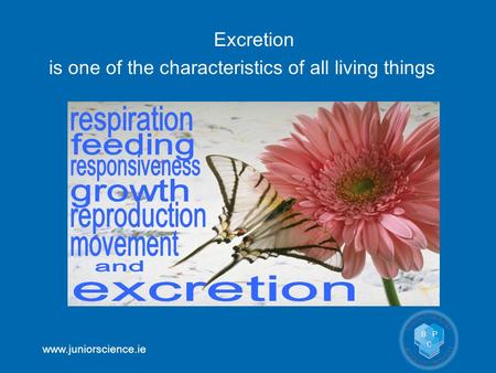 Www.juniorscience.ie Excretion is one of the characteristics of all living things.