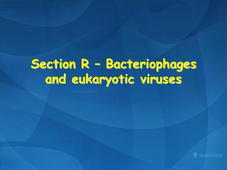 Section R – Bacteriophages and eukaryotic viruses.