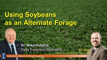 University of Illinois at Urbana-Champaign Using Soybeans as an Alternate Forage Dr. Mike Hutjens Dairy Extension SpecialistDr. Mike Hutjens Dairy Extension.