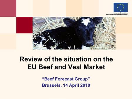 “Beef Forecast Group” Brussels, 14 April 2010 Review of the situation on the EU Beef and Veal Market.