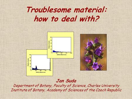 Troublesome material: how to deal with? Jan Suda Department of Botany, Faculty of Science, Charles University Institute of Botany, Academy of Sciences.