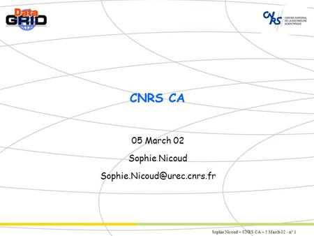 Sophie Nicoud – CNRS CA – 5 March 02 - n° 1 CNRS CA 05 March 02 Sophie Nicoud