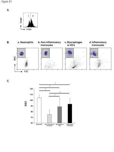 Figure S1 a. Neutrophilsb. Non-inflammatory monocytes c. Macrophages or DCs d. Inflammatory monocytes SSC FSC B C SSC * * * * * III Count F4/80 A.