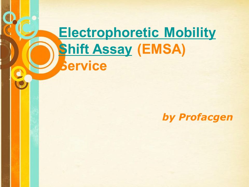 Electrophoretic Mobility Shift Assay (EMSA) Service - Creative Biolabs