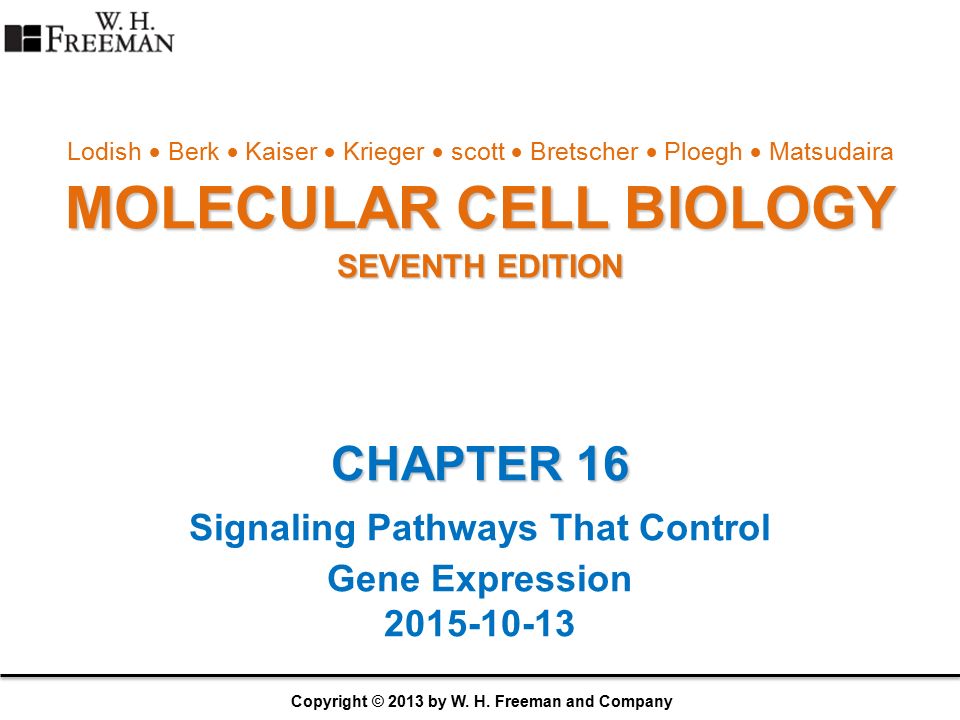 Lodish Berk Kaiser Krieger scott Bretscher Ploegh Matsudaira MOLECULAR CELL BIOLOGY SEVENTH EDITION CHAPTER 16 Signaling Pathways That Control. - ppt download Lodish Berk Kaiser Krieger scott Bretscher Ploegh Matsudaira MOLECULAR CELL BIOLOGY SEVENTH EDITION CHAPTER 16 Signaling Pathways That Control. - ppt download