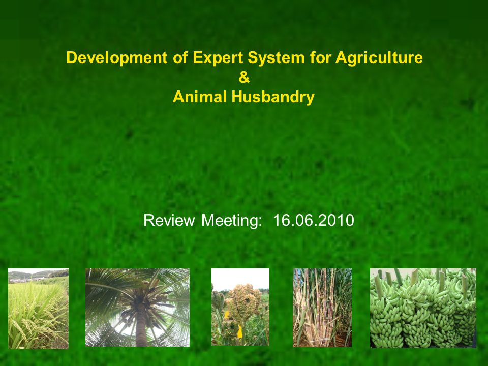 Development of Expert System for Agriculture & Animal Husbandry Review  Meeting: ppt download