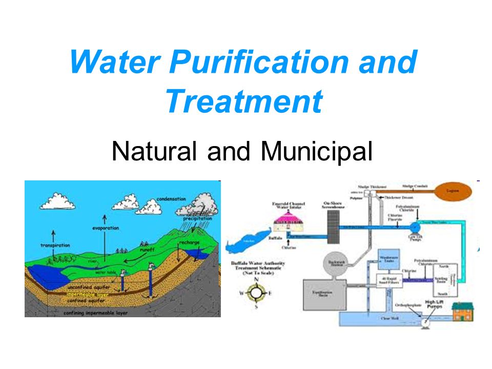 Water Purification and Treatment Natural and Municipal. - ppt download