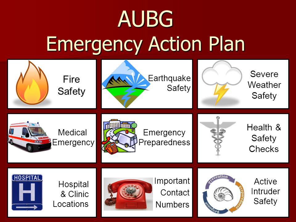 DTIC ADA575618: Development of Earthquake Emergency Response Plan