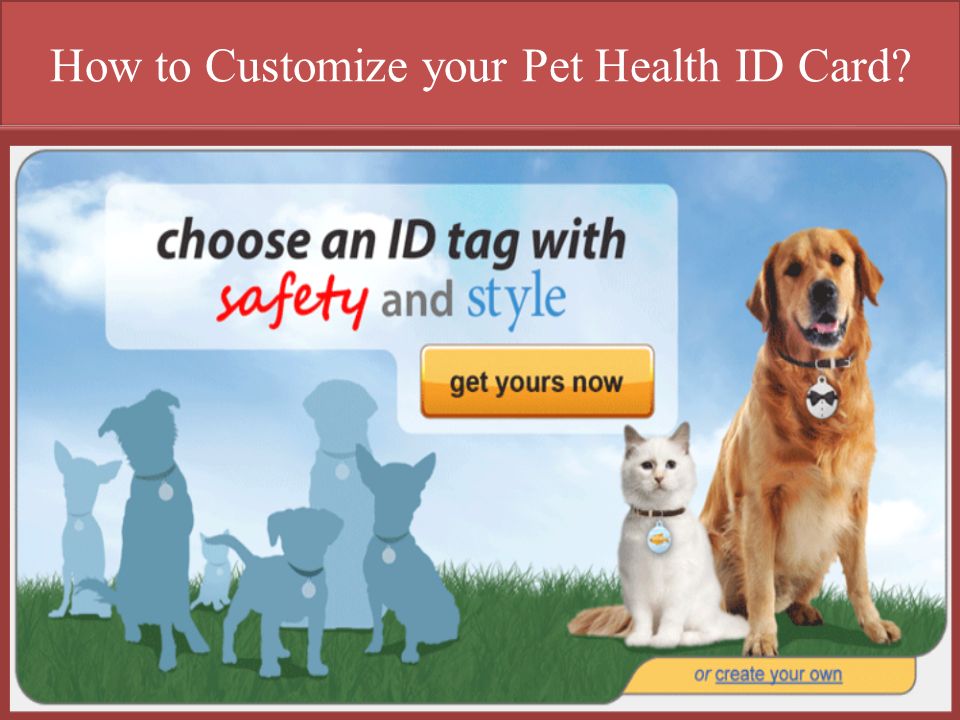 How to Customize your Pet Health ID Card?. What Is Pet Health ID Cards Pet  Health ID Cards are extremely helpful and ensure that you have the  important. - ppt download