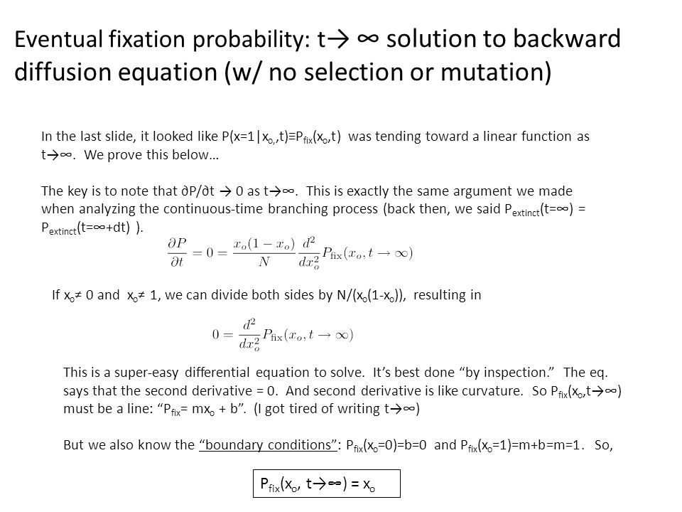 Eventual Fixation Probability T Solution To Backward Diffusion Equation W No Selection Or Mutation In The Last Slide It Looked Like P X 1 X O T P Ppt Download