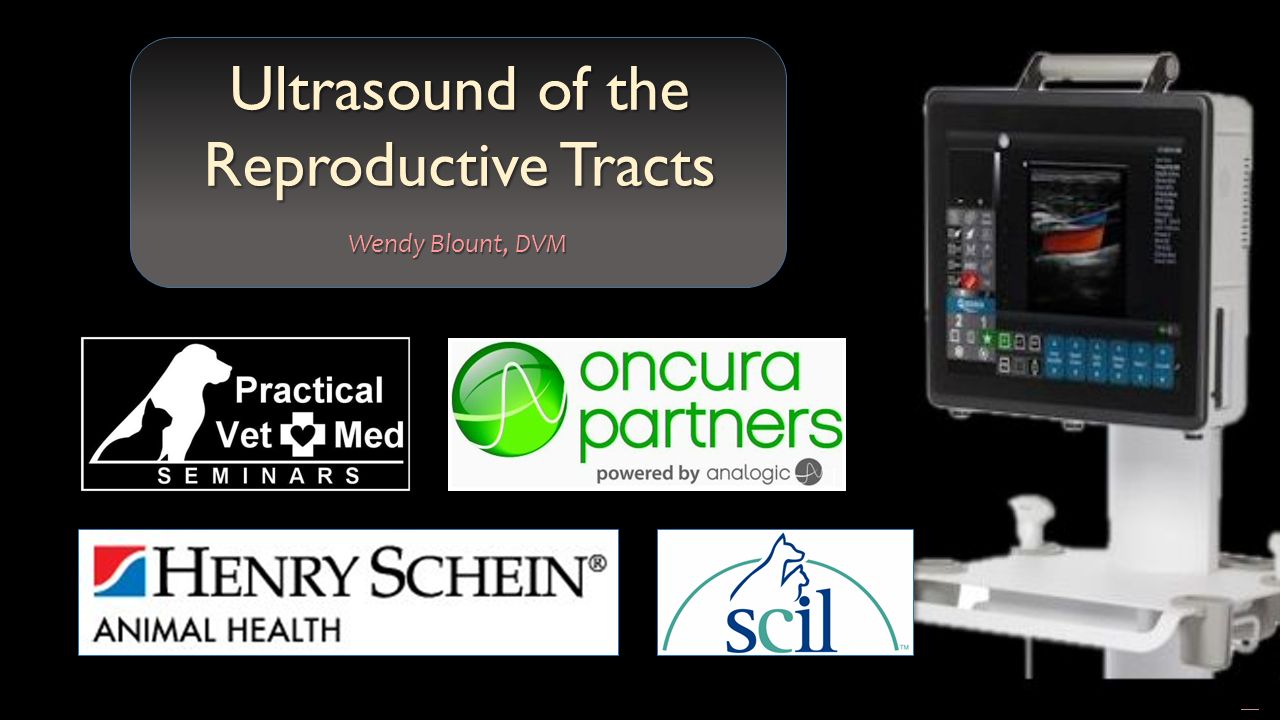 Free PowerPoint Templates Ultrasound of the Reproductive Tracts Regarding Radiology Powerpoint Template
