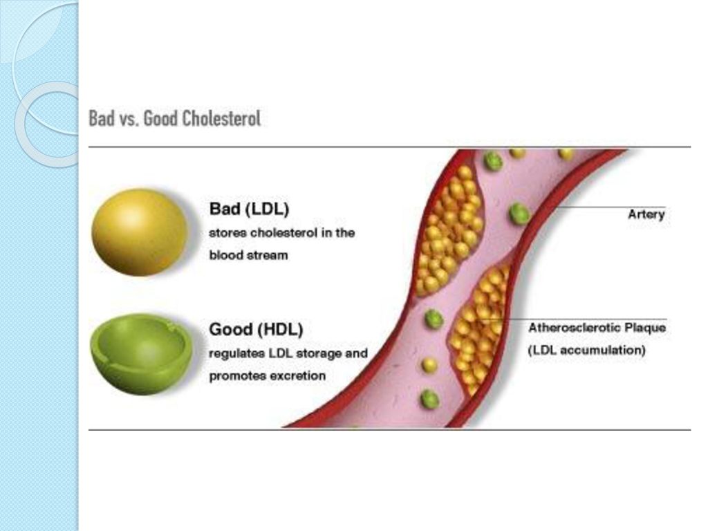 Alimentos con hdl colesterol bueno