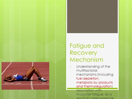 Fatigue and Recovery Mechanism