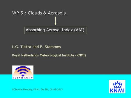 WP 5 : Clouds & Aerosols L.G. Tilstra and P. Stammes Royal Netherlands Meteorological Institute (KNMI) SCIAvisie Meeting, KNMI, De Bilt, 08-02-2013 Absorbing.