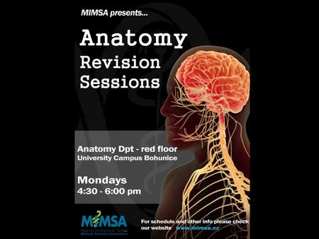 Program of sessions: 7/10 - Spinal Cord 14/10 - Brainsteam and cerebellum 21/10 - Diencephalon 28/10 - Telencephalon 4/11 - Blood Supply, Meninges and.