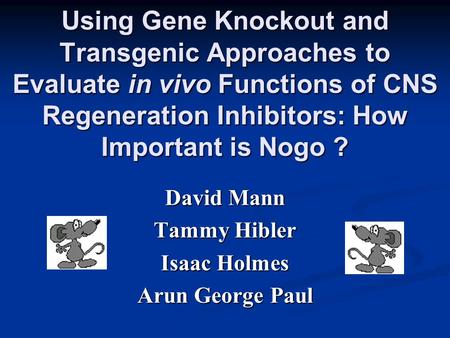Using Gene Knockout and Transgenic Approaches to Evaluate in vivo Functions of CNS Regeneration Inhibitors: How Important is Nogo ? David Mann Tammy Hibler.