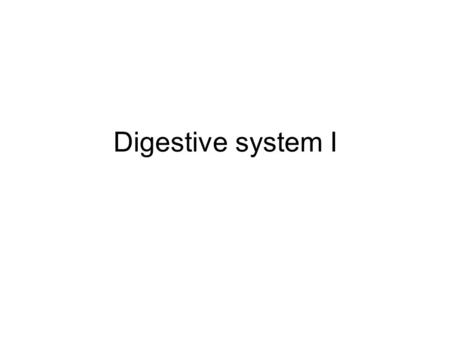 Digestive system I.