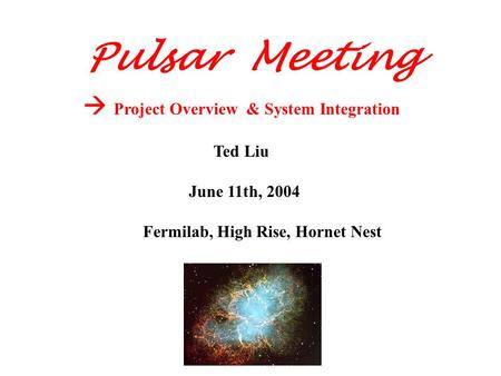  Project Overview & System Integration Ted Liu June 11th, 2004 Fermilab, High Rise, Hornet Nest Pulsar Meeting.