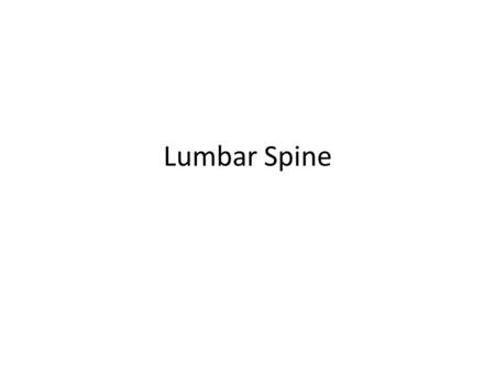 Lumbar Spine.