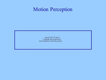 Motion Perception. Motion perception has many functions - it plays a role in segregating figure from ground in encoding depth in helping us avoid collisions.