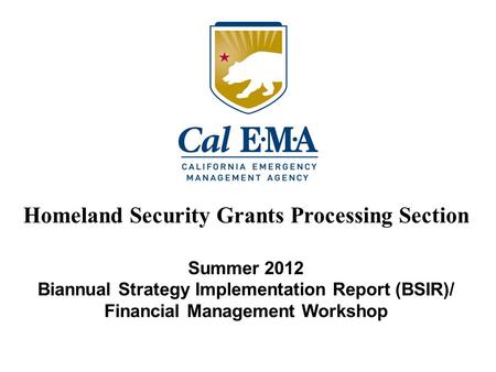 Summer 2012 Biannual Strategy Implementation Report (BSIR)/ Financial Management Workshop Homeland Security Grants Processing Section.