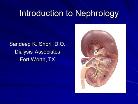Introduction to Nephrology Sandeep K. Shori, D.O. Dialysis Associates Fort Worth, TX.