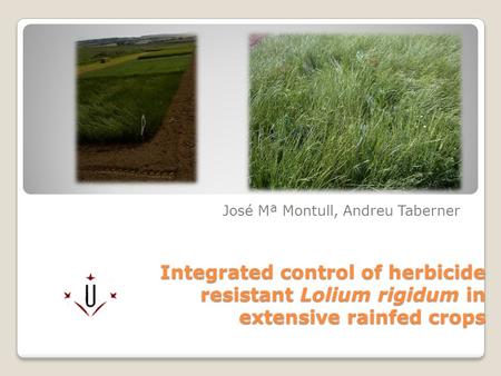 Integrated control of herbicide resistant Lolium rigidum in extensive rainfed crops José Mª Montull, Andreu Taberner.