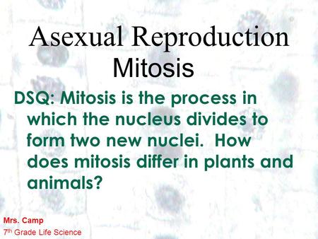 1 1 Asexual Reproduction Mitosis DSQ: Mitosis is the process in which the nucleus divides to form two new nuclei. How does mitosis differ in plants and.