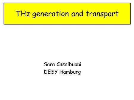 THz generation and transport Sara Casalbuoni DESY Hamburg.
