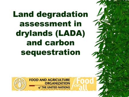 Land degradation assessment in drylands (LADA) and carbon sequestration.