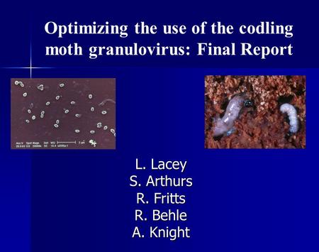 Optimizing the use of the codling moth granulovirus: Final Report L. Lacey S. Arthurs R. Fritts R. Behle A. Knight.