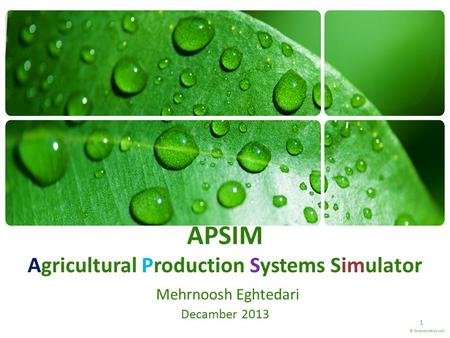 Introduction APSIM: is a modeling environment that uses various component modules to simulate cropping systems in the semi-arid tropics. Modules can be.