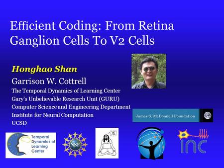 E ﬃ cient Coding: From Retina Ganglion Cells To V2 Cells Honghao Shan Garrison W. Cottrell The Temporal Dynamics of Learning Center Gary's Unbelievable.