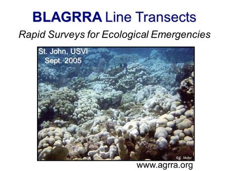 . BLAGRRA Line Transects Rapid Surveys for Ecological Emergencies www.agrra.org © E. Muller St. John, USVI Sept. 2005.
