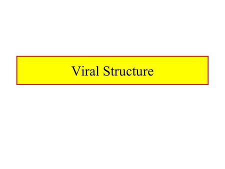 Viral Structure. Structure of a Virus Questions Relating to Structure –Is it rigid? –How big is it? –Is it flexible Structure Must Serve Virus –It should.