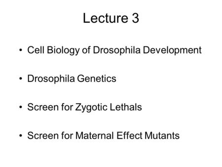 Lecture 3 Cell Biology of Drosophila Development Drosophila Genetics