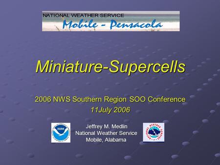Miniature-Supercells 2006 NWS Southern Region SOO Conference 11July 2006 Jeffrey M. Medlin Jeffrey M. Medlin National Weather Service National Weather.