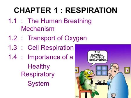 CHAPTER 1 : RESPIRATION 1.1:The Human Breathing Mechanism 1.2:Transport of Oxygen 1.3:Cell Respiration 1.4:Importance of a Healthy Respiratory System.
